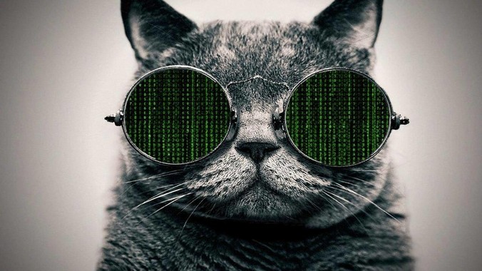 为什么软件公司很少用python开发web?